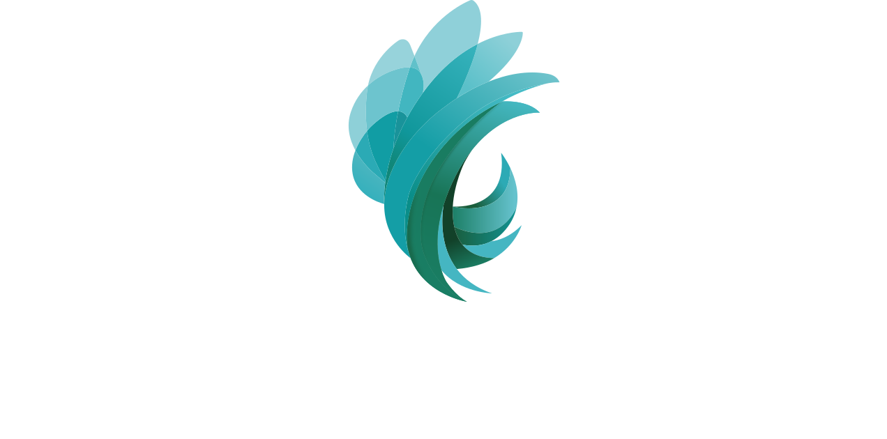 Halo Finance